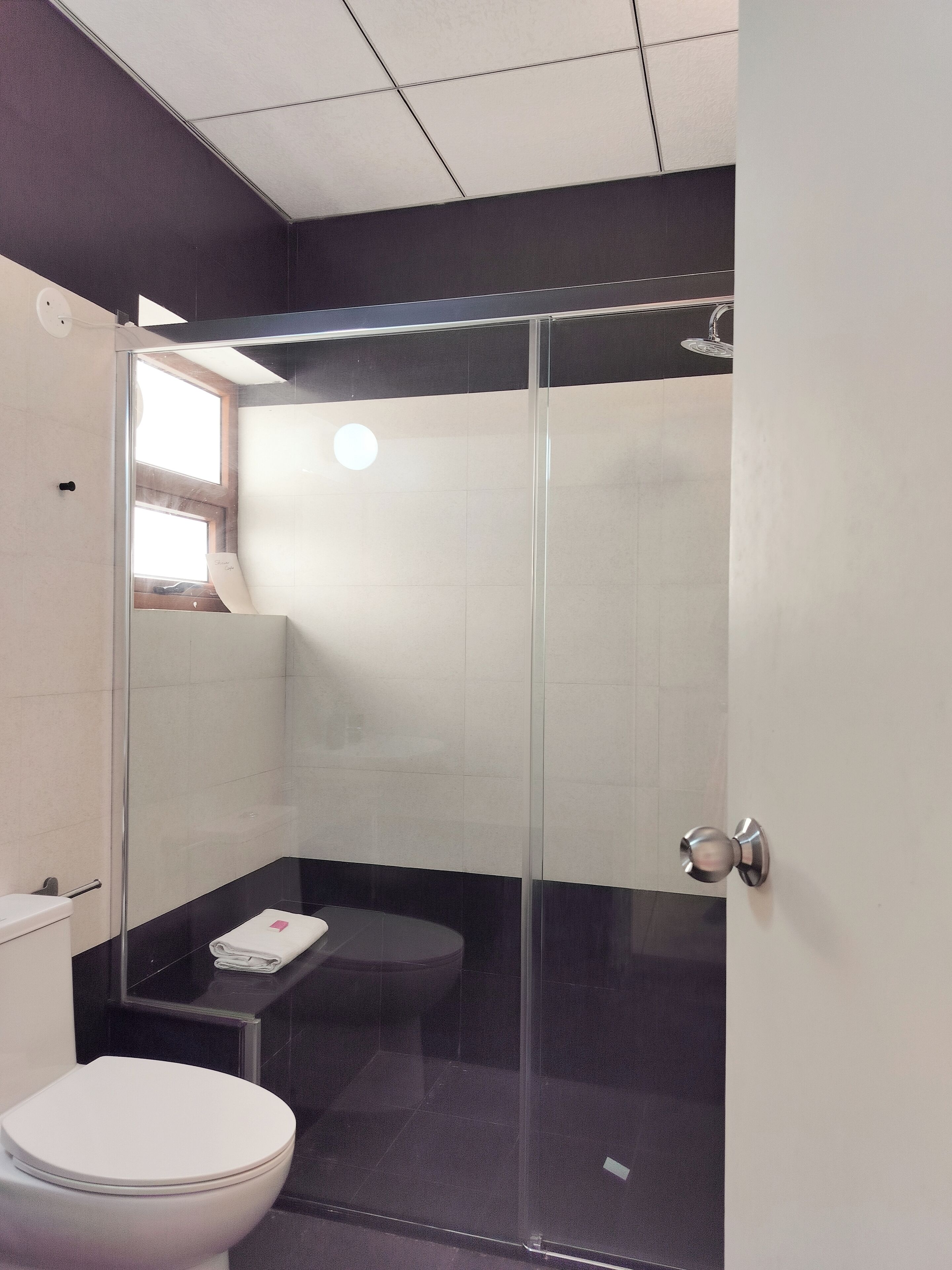A modern bathroom with a glass-enclosed shower, a toilet, and a small sink area.