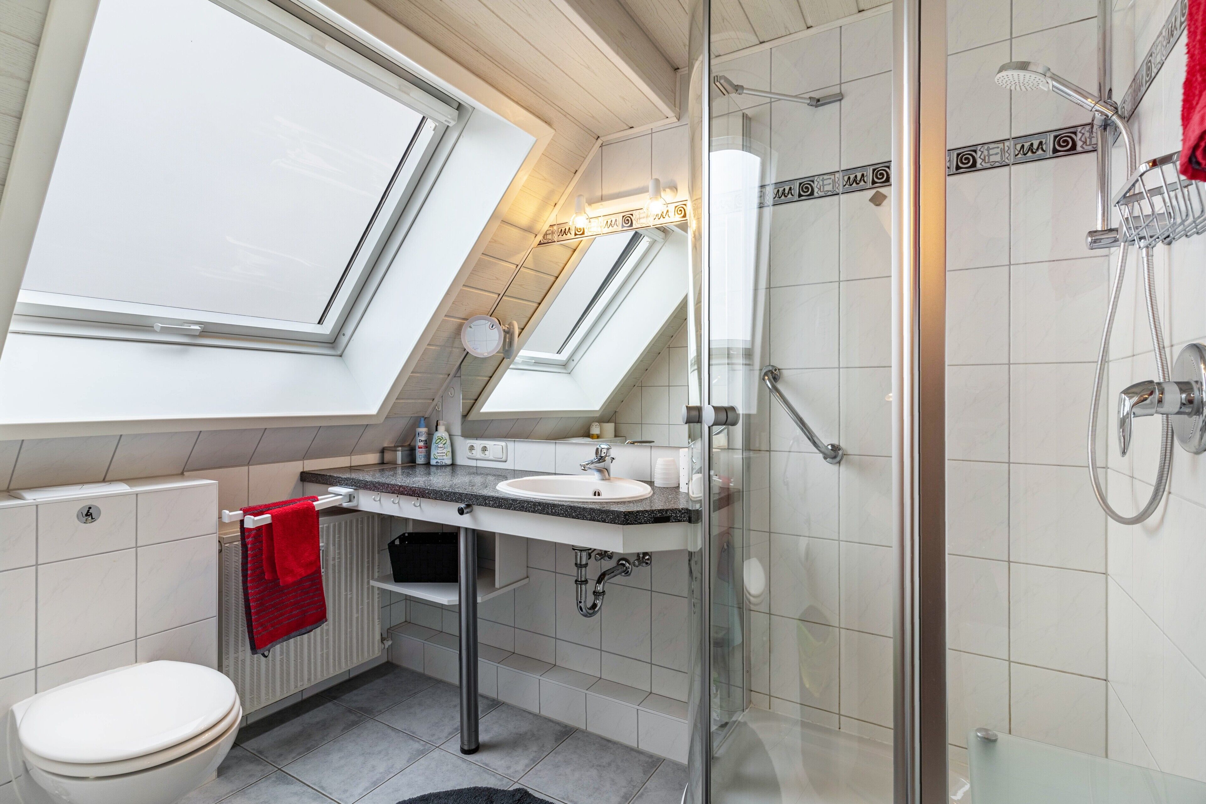 Shower, hair dryer, towels