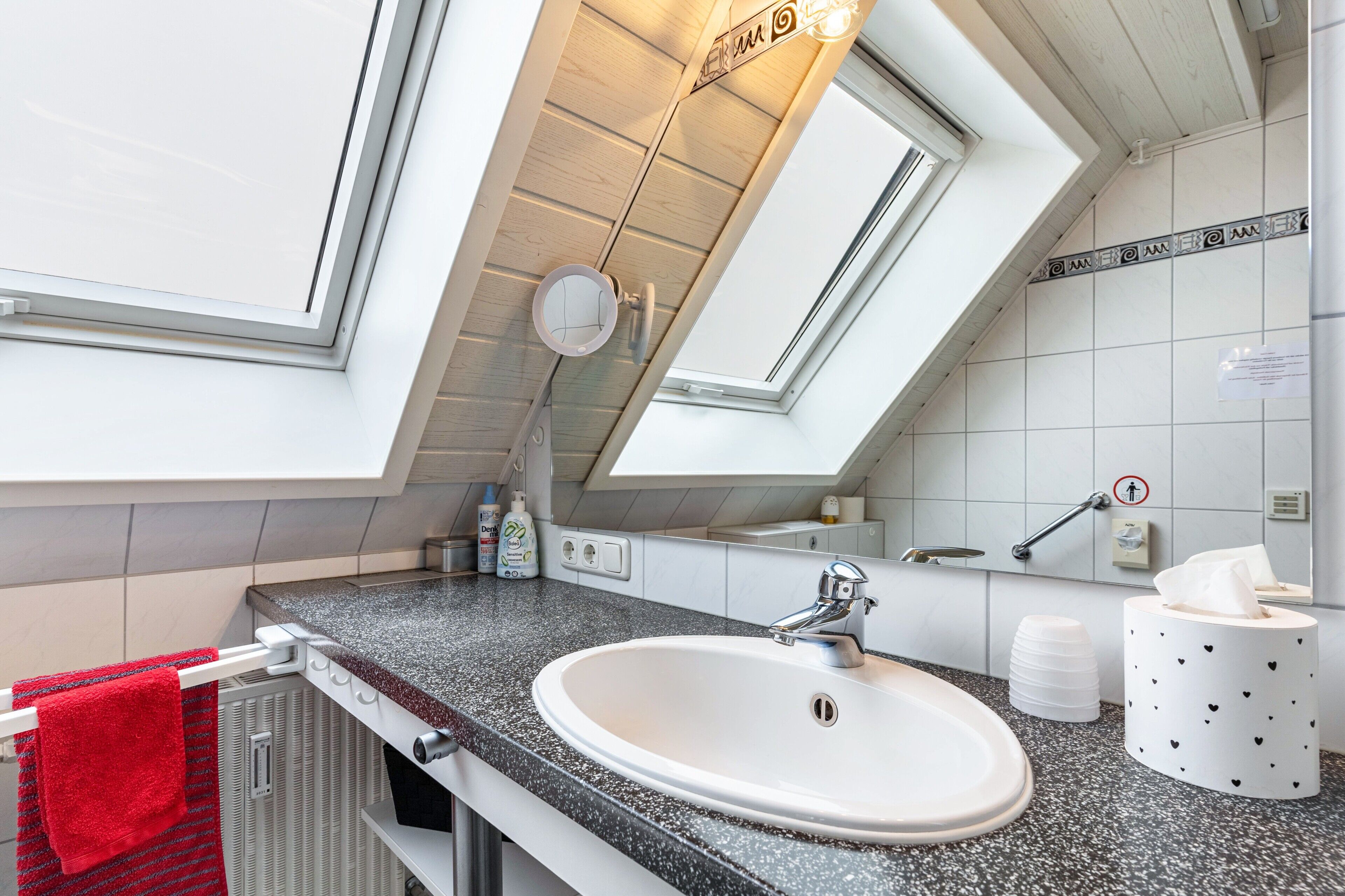 Une salle de bain moderne dotée d’un puits de lumière, d’un lavabo, d’un porte-serviettes et d’un support à papier toilette.