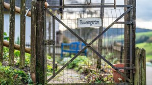 A rustic metal gate with a wooden fence and a sign that reads 'Bauerngarten.' - Apartment 'Ferienwohnung Waldblick' with Mountain View, Shared Terrace and Wi-Fi (Elzach)
