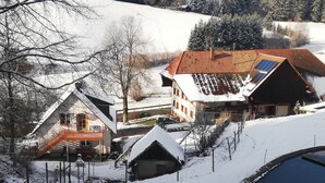 A snow-covered village with traditional houses, a small pond, and a clear sky. - Apartment 'Ferienwohnung Waldblick' with Mountain View, Shared Terrace and Wi-Fi (Elzach)