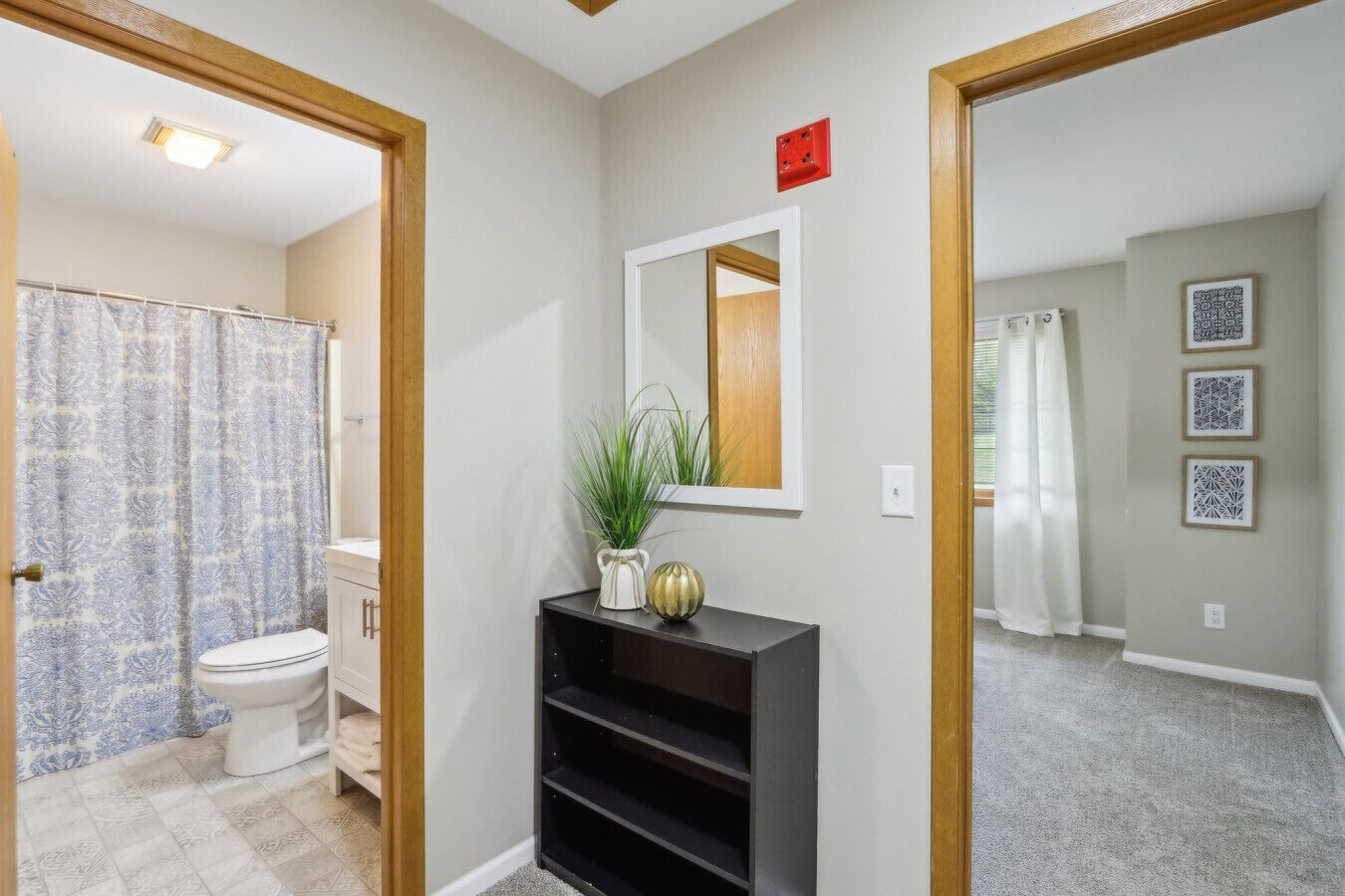Une salle de bain équipée de toilettes, d’un rideau de douche et d’un miroir placé au-dessus d’une étagère noire ornée d’objets décoratifs.