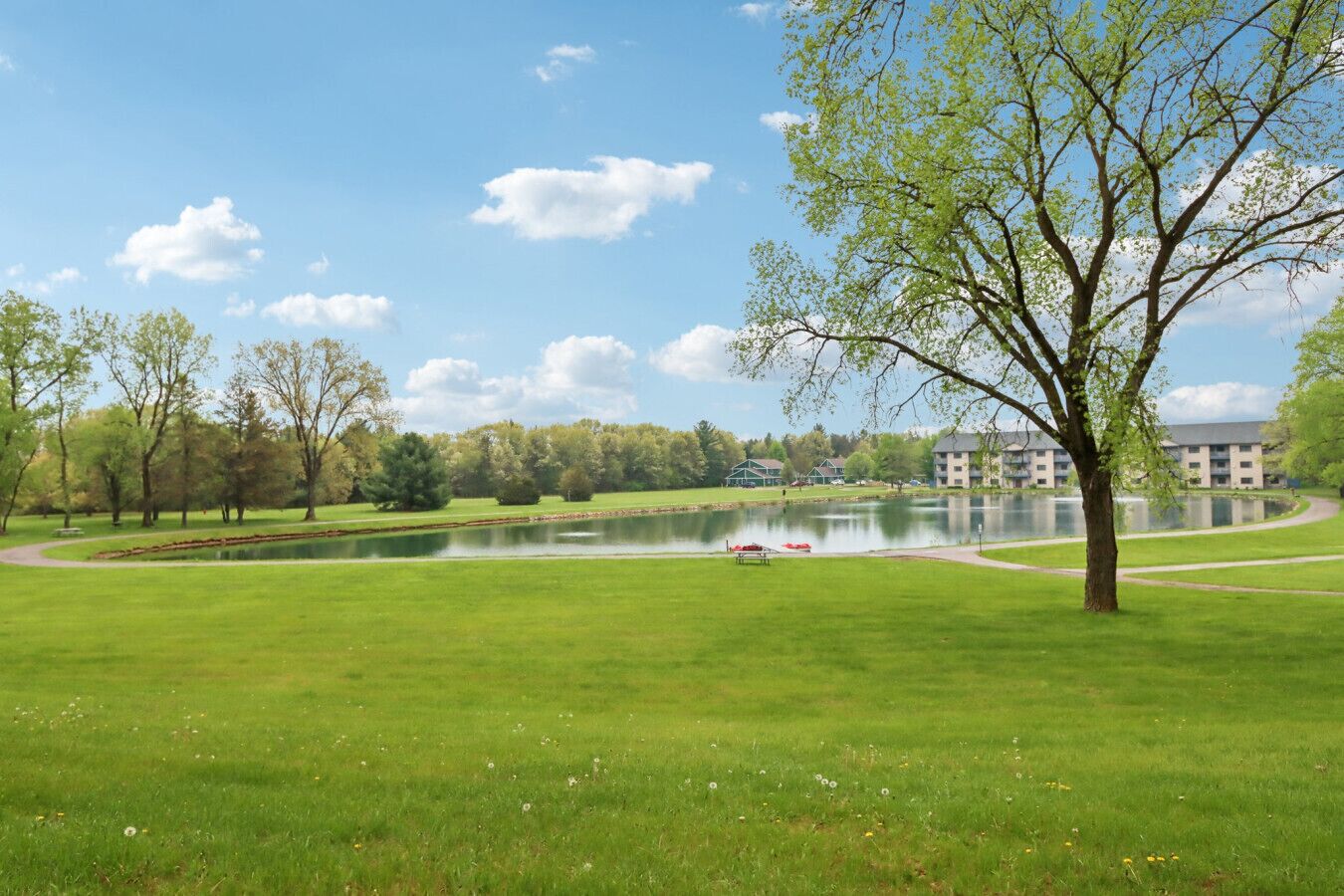 Een park met een meer, bomen en een gebouw op de achtergrond.