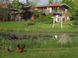 Exterior - Apartment 'Atelierwohnung Hof Kranichmoor' with Private Terrace, Shared Garden and Wi-Fi (Horst)