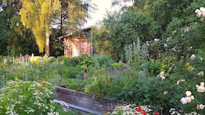 Un jardin agrémenté d’une structure en bois, de différentes plantes et d’une clôture en bois.