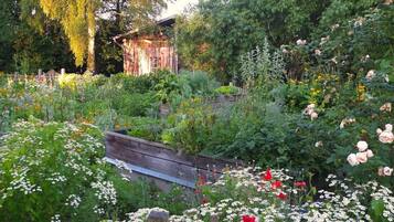 Jardines del alojamiento