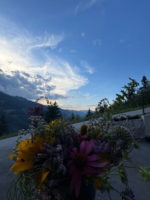 A flower arrangement on a balcony with a mountain view in the background. - Holiday Home 'Apart Mountainview' with Mountain View, Private Terrace & Wi-Fi (Rohrberg)
