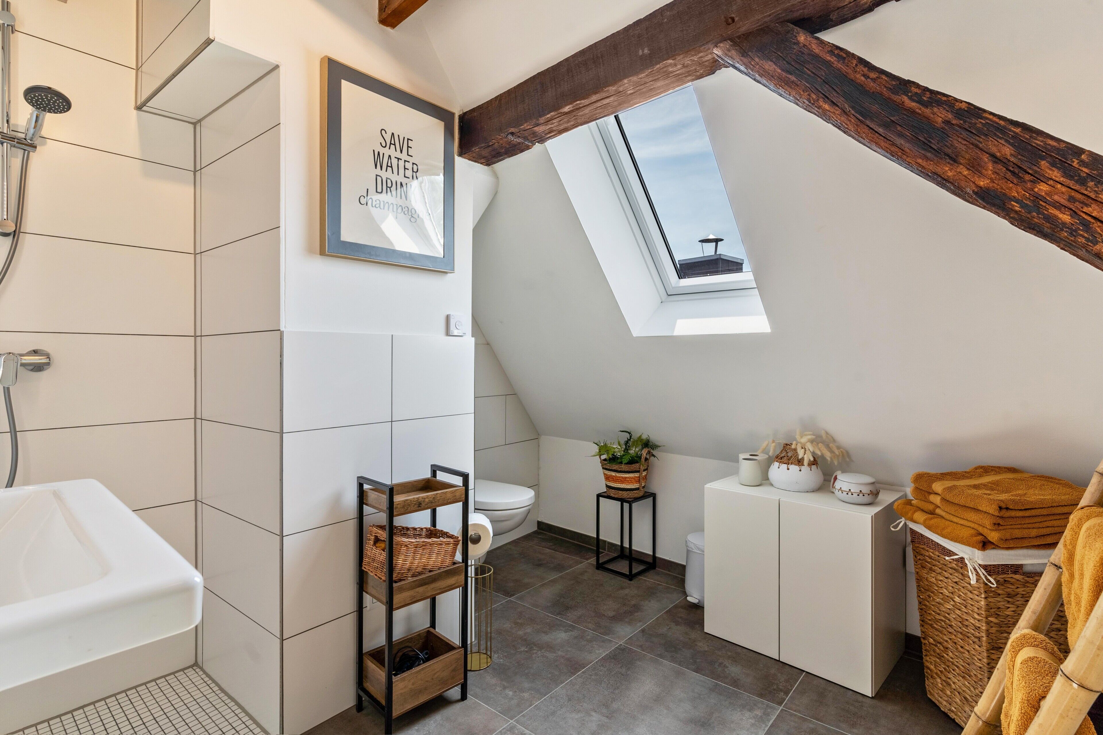 Dusche, Haartrockner, Handtücher