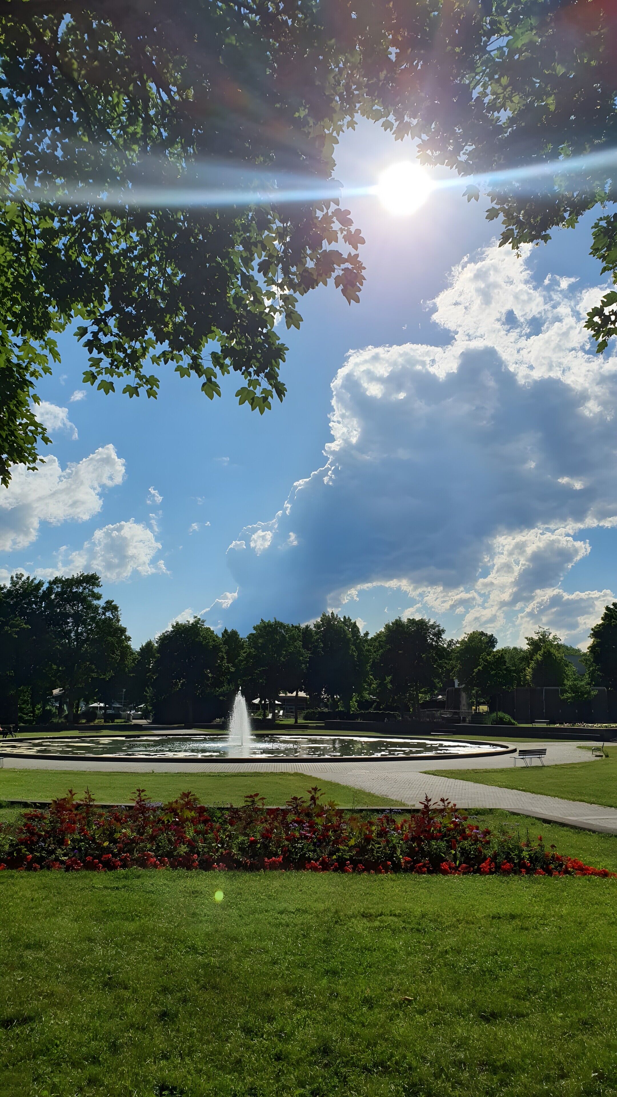 A park with a fountain, green grass, and trees.