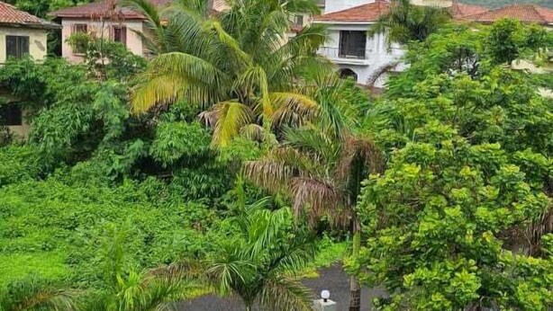 A residential area with houses surrounded by lush greenery and a hilly backdrop.