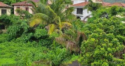 Solace By Joy Suites