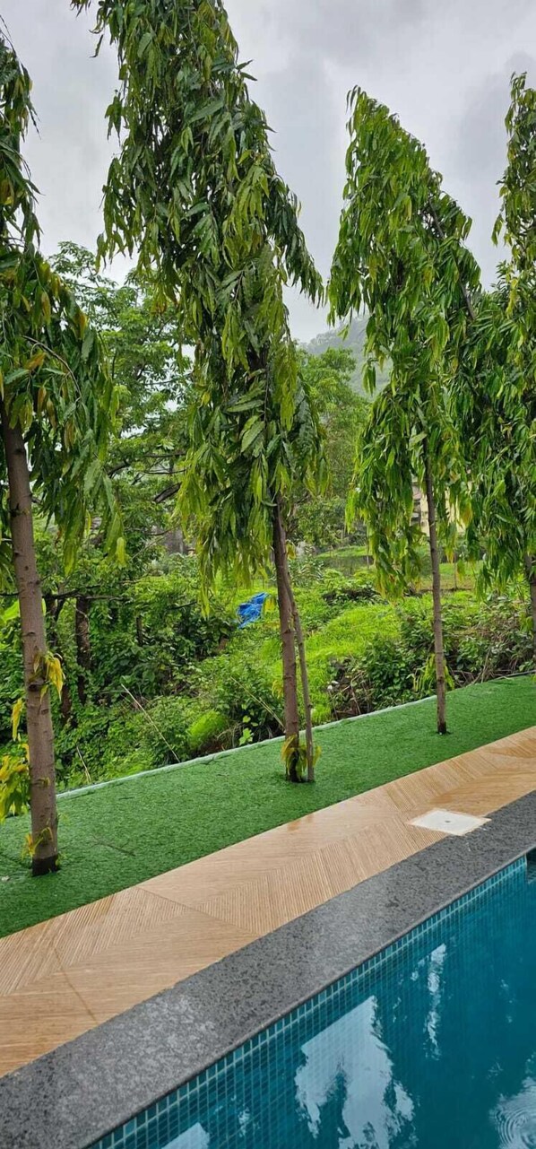 Garden view