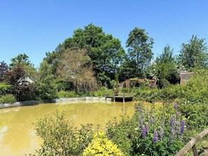 A garden with a pond, surrounded by various plants and trees.
