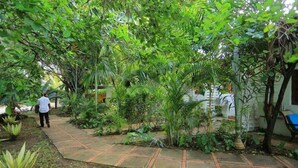 A garden pathway surrounded by lush greenery and trees. - Pontoon Residence & Suites (Mombasa)