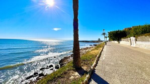 A coastal walkway with a palm tree, clear blue sky, and the ocean.