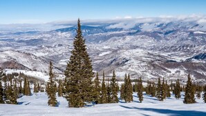 A snow-covered mountain landscape with a prominent evergreen tree in the foreground and a clear sky. - Luxury Resort Ski In Ski Out Studio (Snowmass Village)
