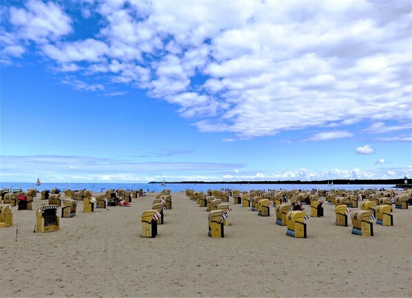 Una playa con numerosas casillas de correo amarillas dispuestas en filas.