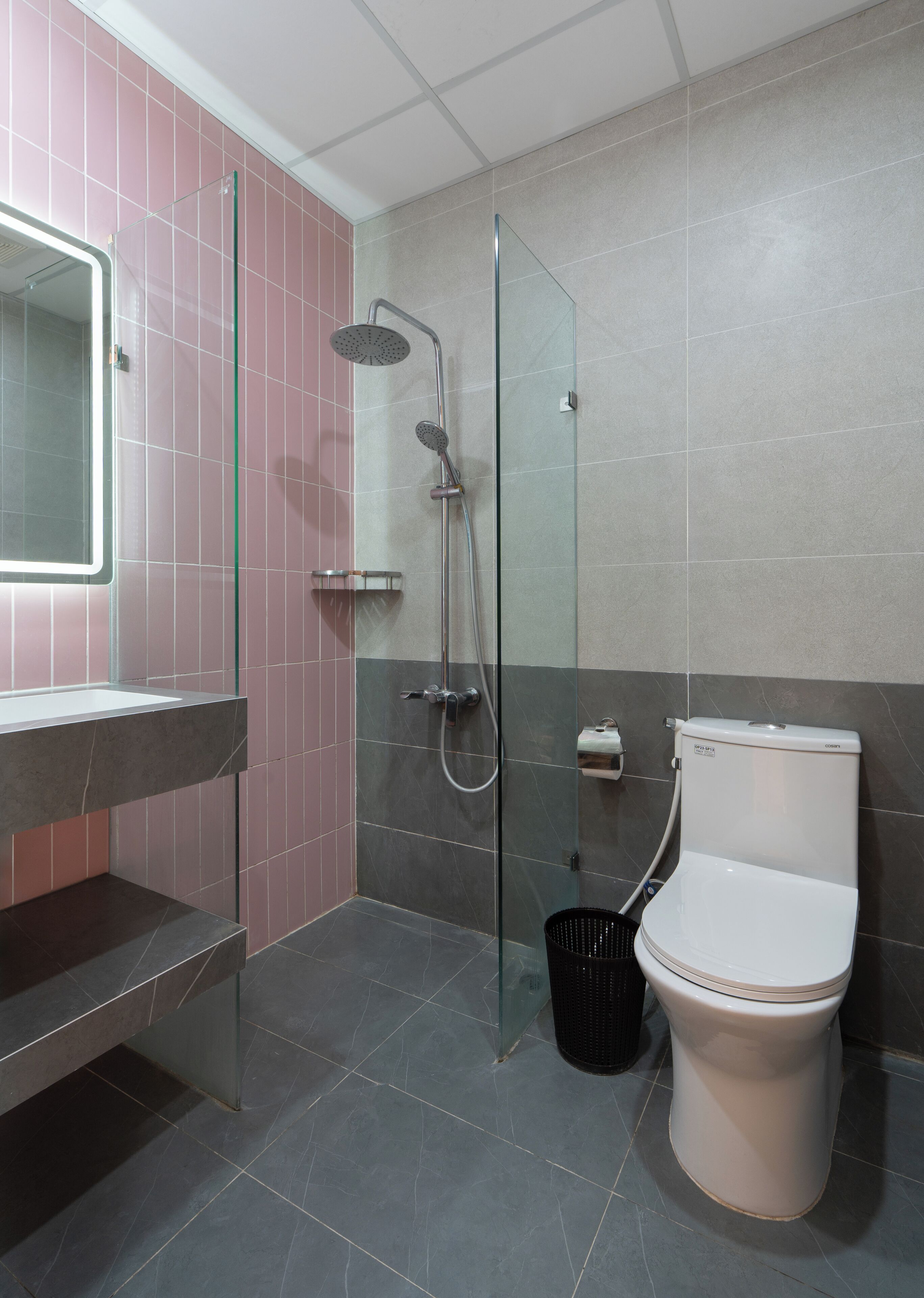 Een badkamer met een douchecabine van glas, toilet en een wastafel met spiegel.