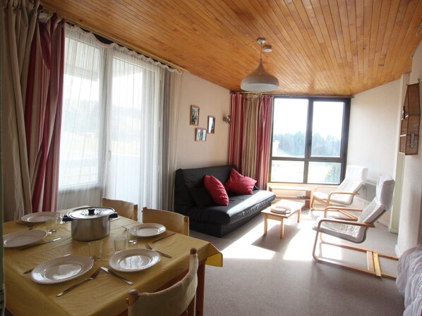 TV - Comfortable ski-in/ski-out apartment with panoramic view (Chamrousse)