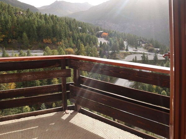 Property grounds - Beautiful 2-room apartment, ski-in/ski-out, Les Orres (Les Orres)