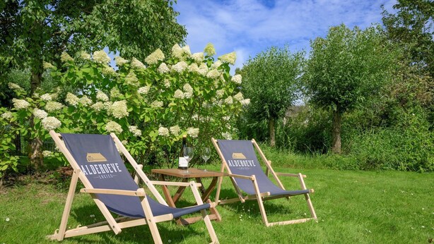 Two lounge chairs with "Aldehove" branding, a bottle of wine, and a glass on a small table in a grassy outdoor area with white flowering bushes. - Flat (max 4 pers) in former farmhouse within walking distance of Workum centre (Workum)