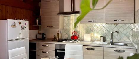 Fridge, oven, stovetop, coffee/tea maker