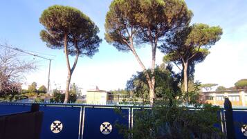 Classic Single Room | View from room