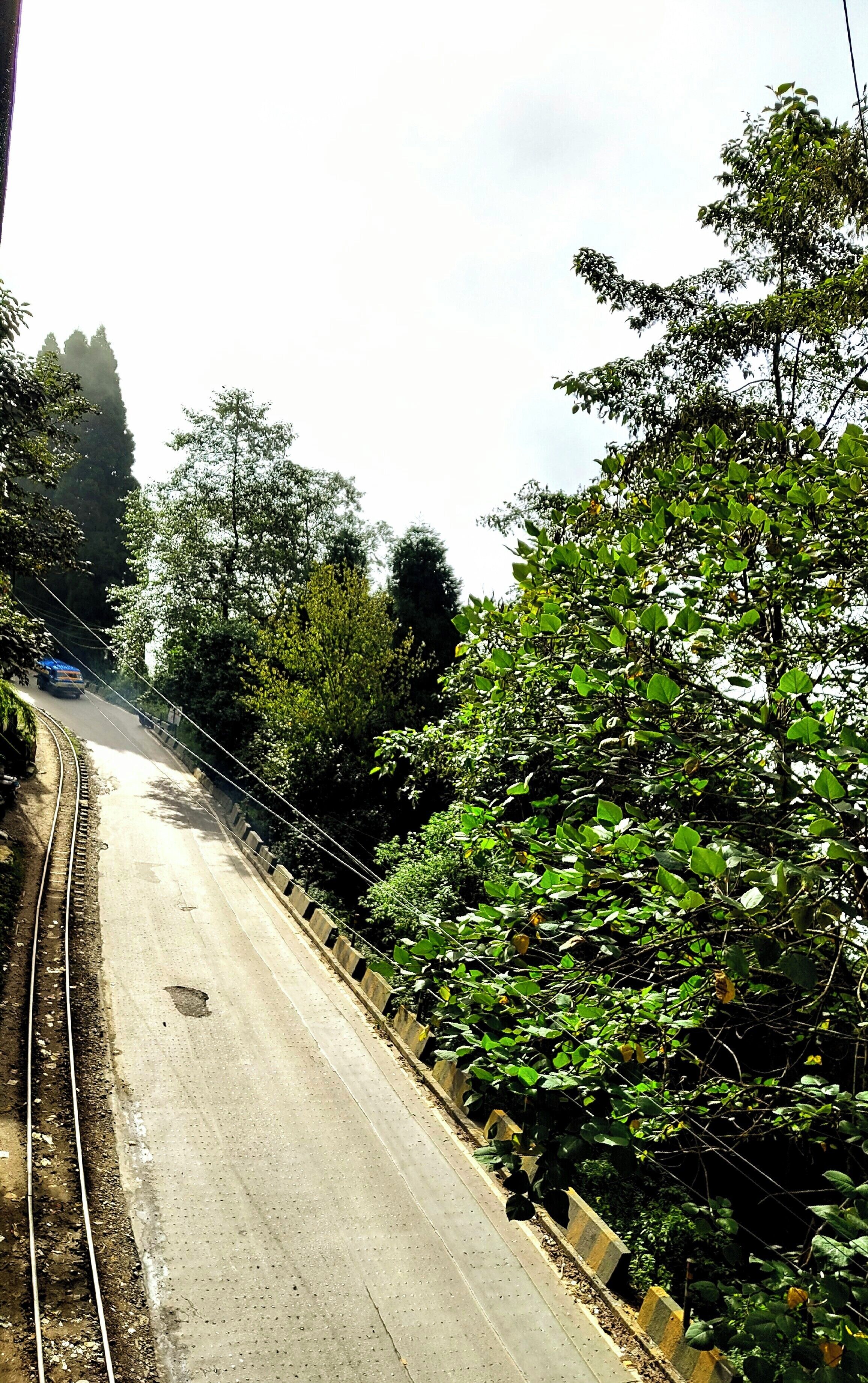 Pemandangan dari hartanah