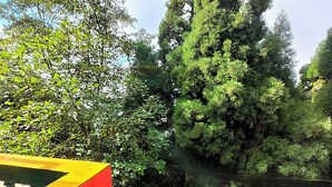 Une voiture blanche est garée sur une route bordée d’arbres, à côté d’un bâtiment à la façade rouge et jaune.