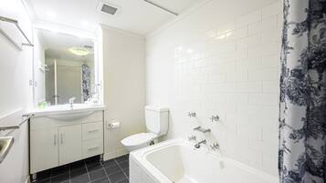 Hair dryer, towels, soap, toilet paper