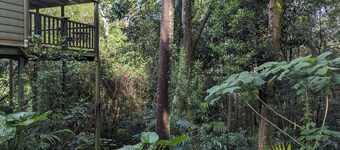 Spacious Scandi-inspired luxury home amongst the trees - Mount Glorious summit!