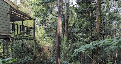 Spacious Scandi-inspired luxury home amongst the trees - Mount Glorious summit!