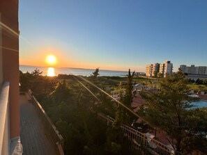 Terrain de l’hébergement 