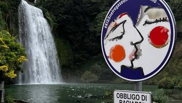 A waterfall and a sign with a face painted on it.