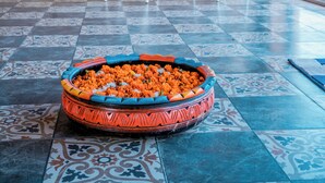 Un espace d’accueil doté d’un sol carrelé, de deux chaises blanches, d’un comptoir de réception et d’un vase décoratif contenant des soucis.