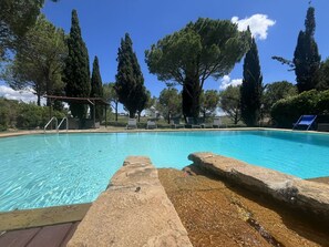 Pool - Villa with Pool and Gym (Diaccialone)