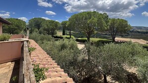 A stone pathway leading to a building with a tiled roof, surrounded by lush greenery and trees. - Villa with Pool and Gym (Diaccialone)