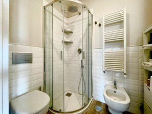 Shower, hair dryer, bidet, towels