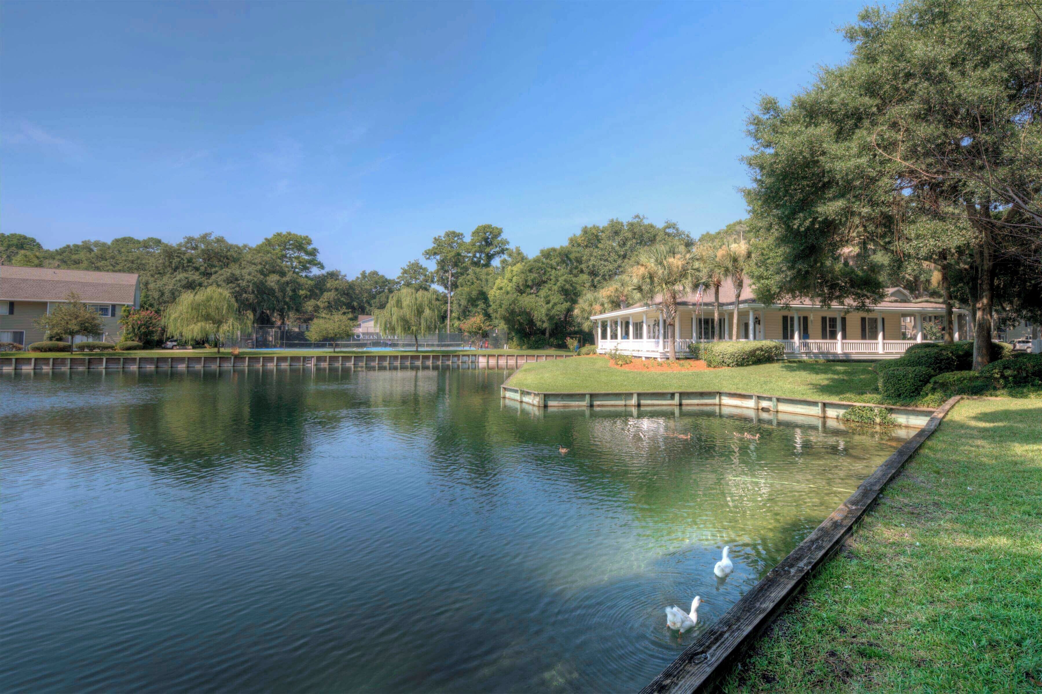 A serene lake with swans, surrounded by well-maintained lawns and mature trees.