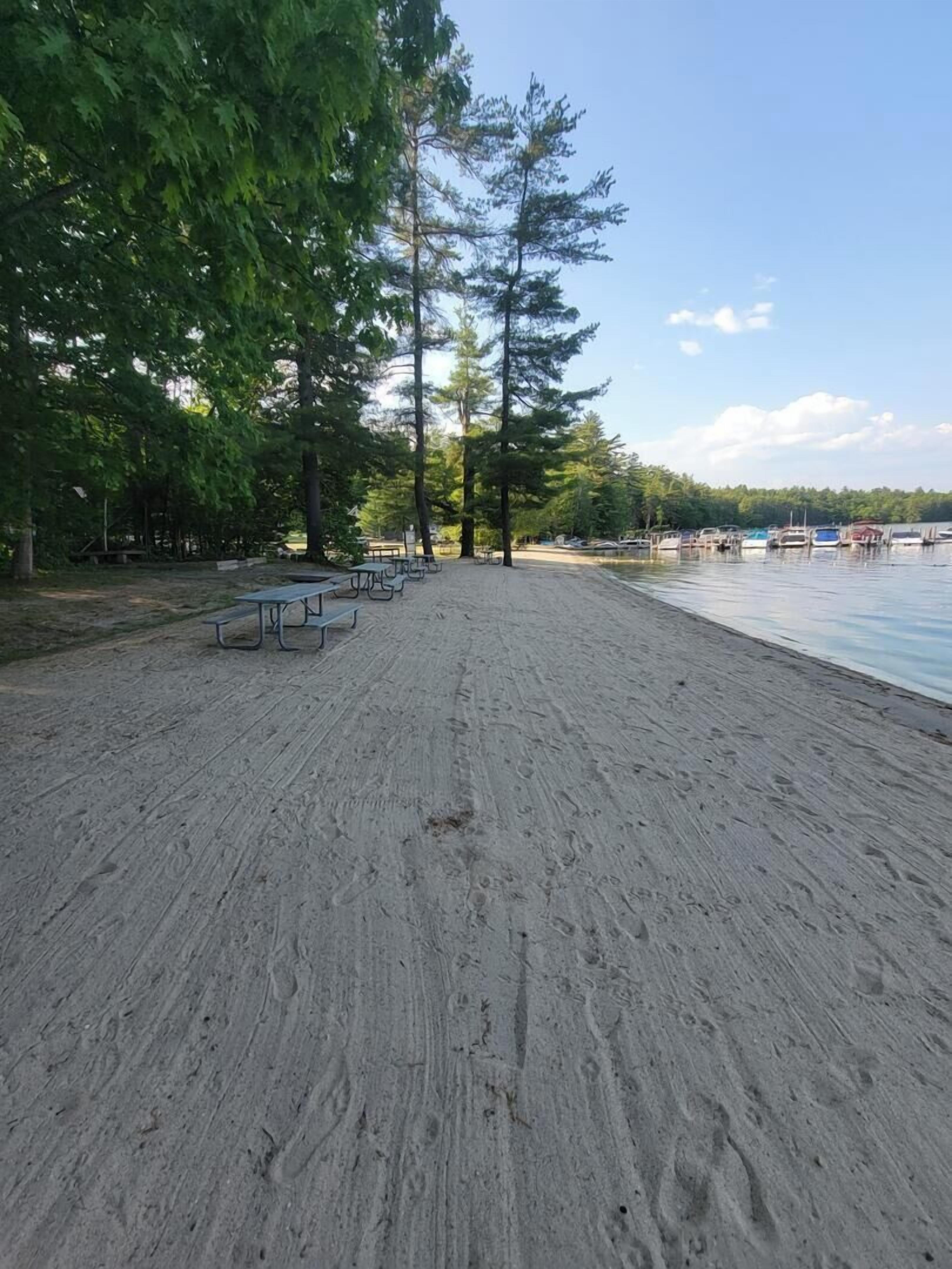 Une plage de sable avec des tables de pique-nique et une rangée d’arbres imposants.