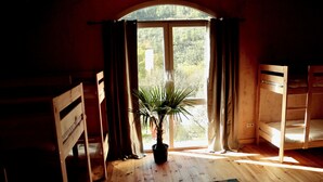 Une pièce avec un plancher en bois, une plante en pot et une fenêtre avec des rideaux.