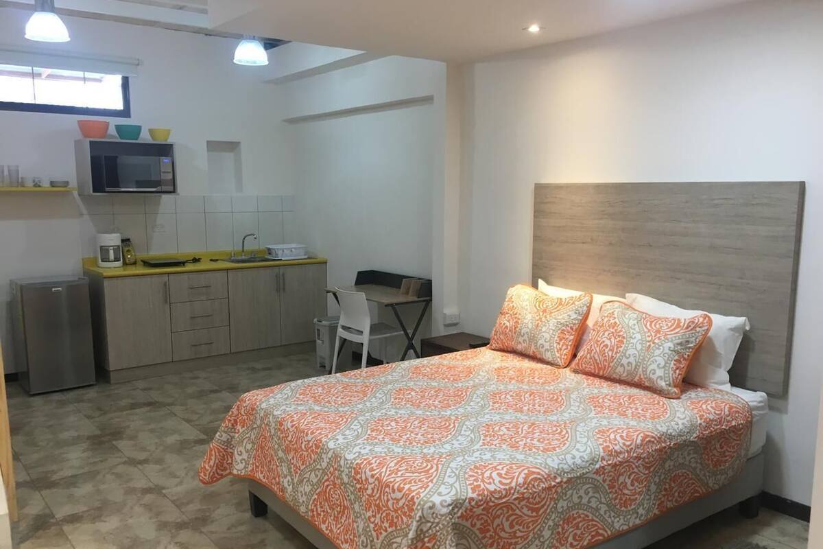 Une chambre avec un lit, un bureau et un coin cuisine.