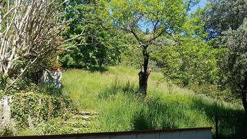 A natural landscape with trees, grass, and a concrete wall.