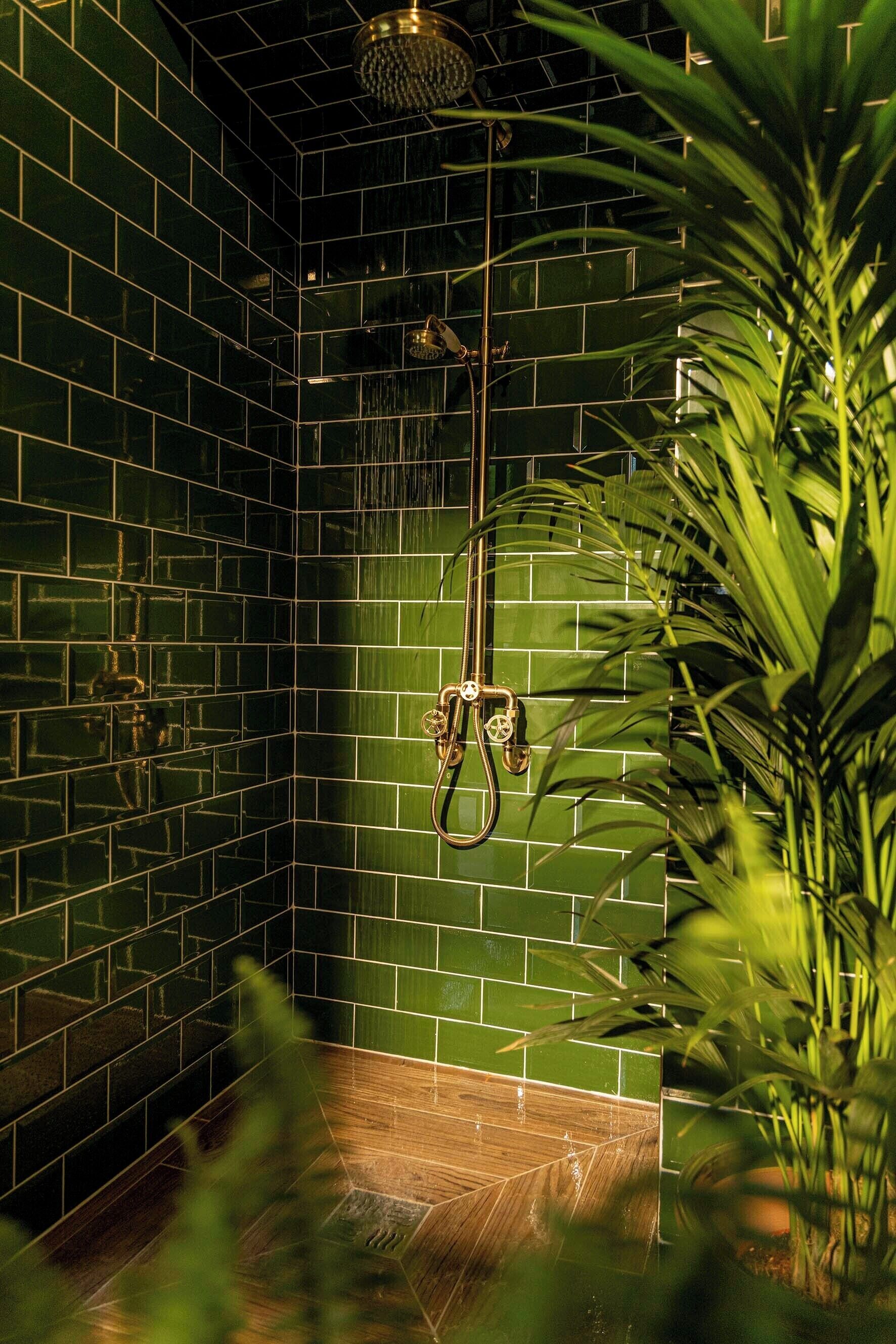 Casa de banho com paredes revestidas a azulejos verdes, chuveiro com chuveiro manual e uma planta em vaso em primeiro plano.