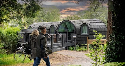 The Forest at Mount Congreve Gardens