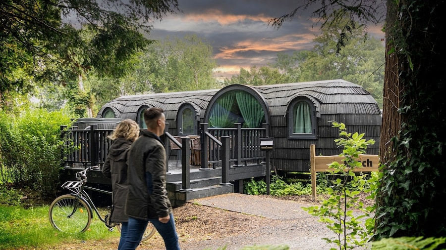The Forest at Mount Congreve Gardens