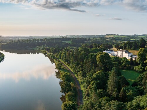 The Forest at Mount Congreve Gardens