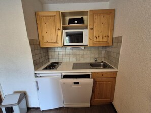 Fridge, oven, dishwasher, coffee/tea maker - 20m from resort center, 1st floor, balcony, tv, ski locker, 33m², Les 2 Alpes (Les Deux Alpes)