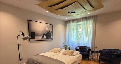 Family-sized upscale & spacious apartment in city center. Free parking!