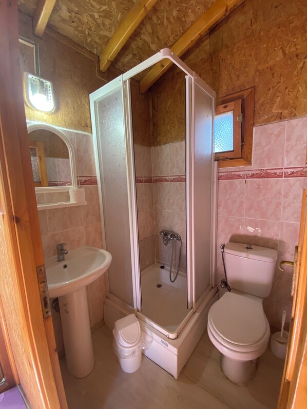 A bathroom with a shower enclosure, sink, toilet, and a mirror. - Aydeniz pansiyon (Karaburun)